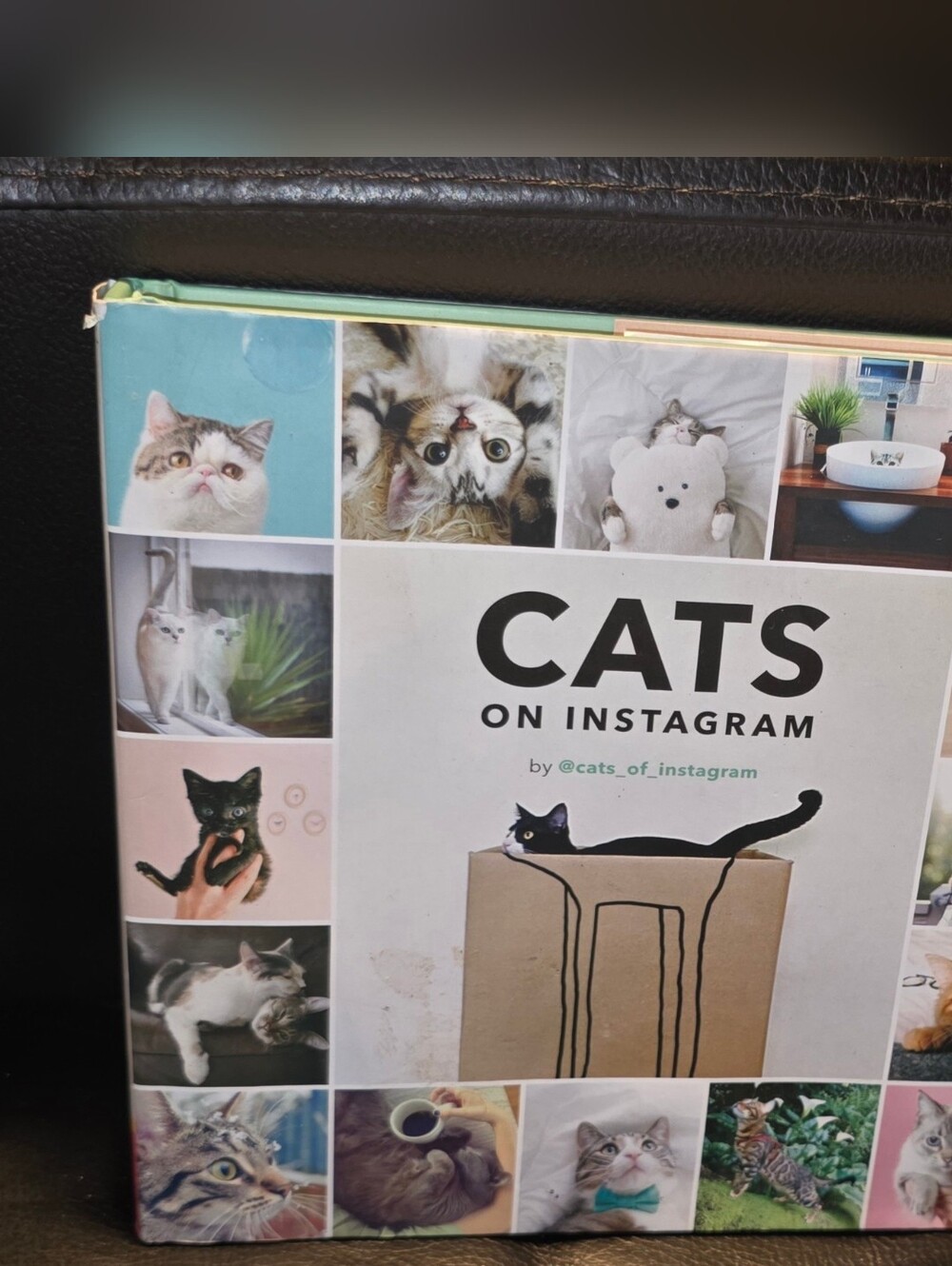 Cats On Instagram Book